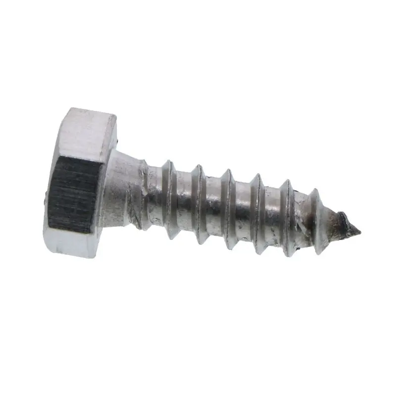 5/16" X 1" Lag Bolt For Big Blue Filter Housing Installation 1