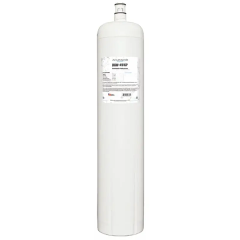 Aquamor Bevguard Bgm-4916P Dual-Purpose Filter – Sediment And Scale Removal 1