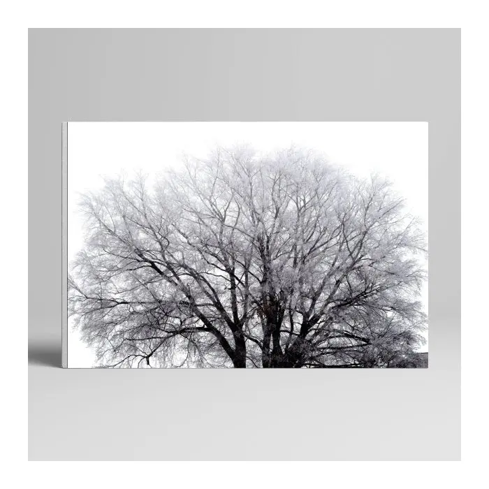 Canvas Photo Print – Horizontal Layout 1