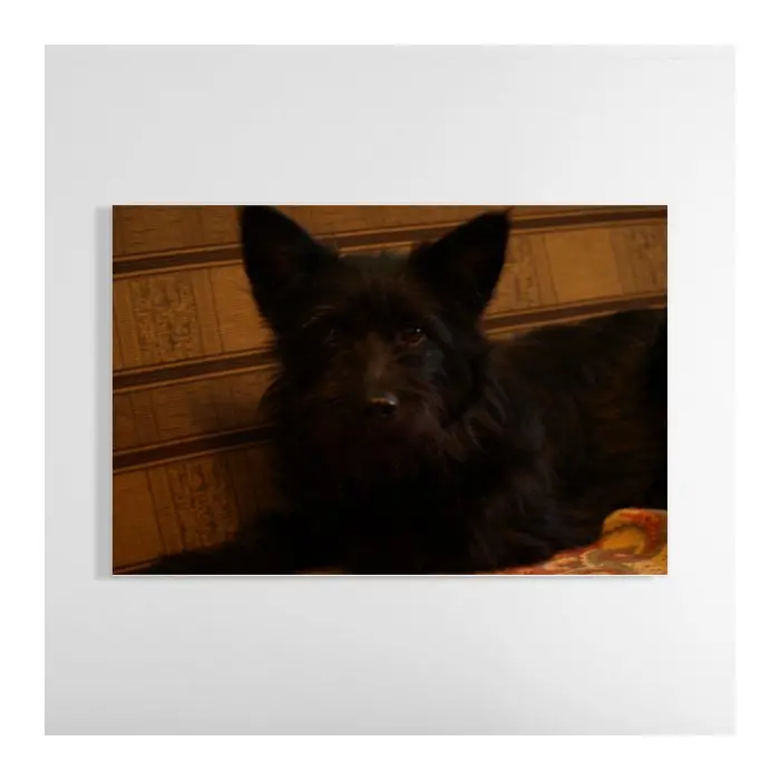 Contemporary Horizontal Glass Photo Print 1
