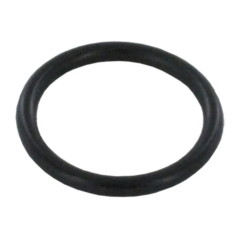 Dol-Fyn Heating Element O-Ring Gasket 1