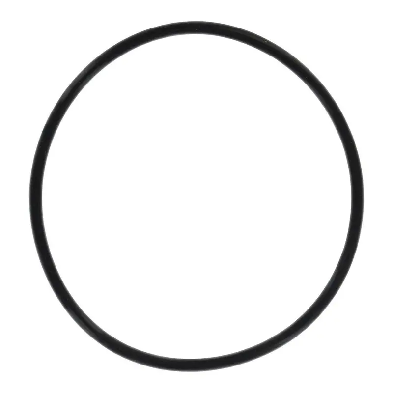Everpure 143273 O-Ring Replacement For Cb20 Series Filter Housings 1