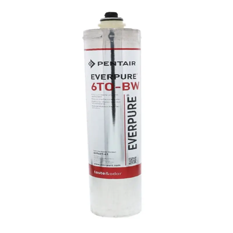 Everpure 6To-Bw Replacement Filter Cartridge 1