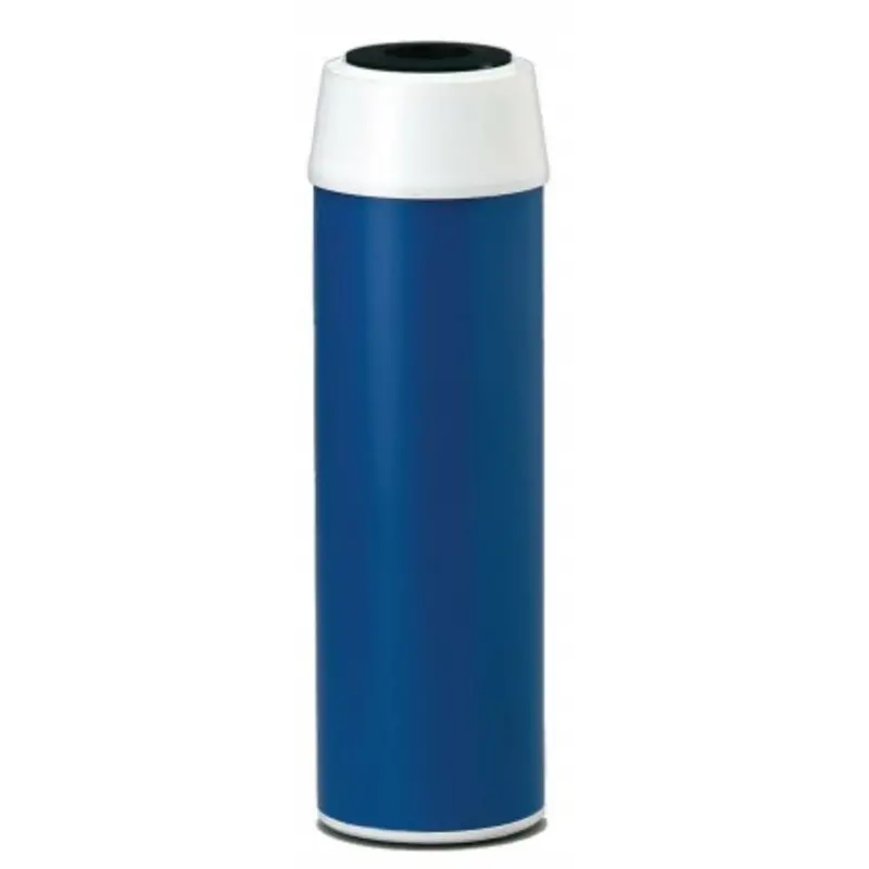 Everpure Costguard Cgt-10 (Gac-10) Replacement Carbon Block Water Filter Cartridge 1