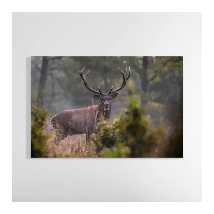 Horizontal Tempered Glass Photo Print — Uv-Resistant 1