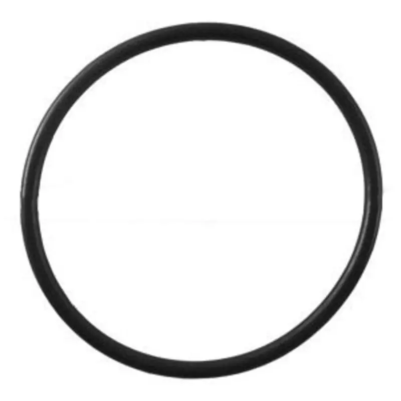 Microline S3069 O-Ring – Replacement Seal For 2.75" White Housing Filter Cans 1