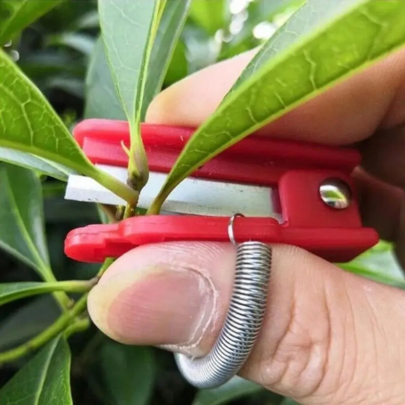 Multi-Use Harvesting & Pruning Knife For Vegetables 1