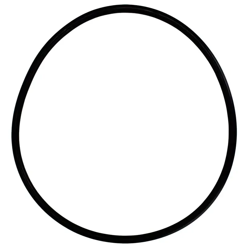 Neo-Pure Buna-N Gasket For 22-Inch Round Multi-Cartridge & Dual-Bag Filter Housings (Band Clamp Style) 1