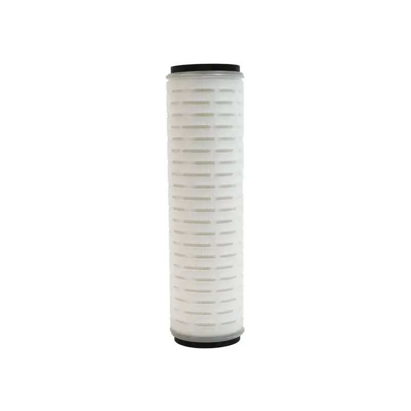 Neo-Pure Pes Membrane Filter – 9-3/4" Length, 0.2 Micron Water Grade, Doe Style With Buna Gasket 1