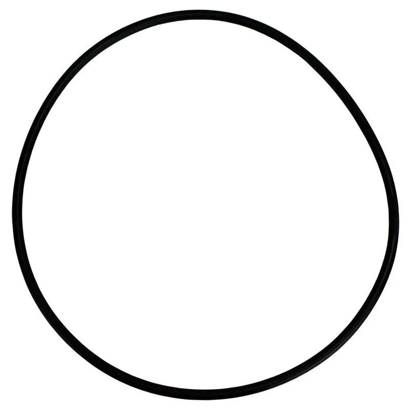 Neo-Pure Swing-Bolt Gasket For Single-Bag Filter Housings 1