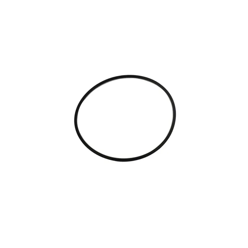 Neo-Pure Viton Gasket – High-Performance Sealing Ring For Filter Systems 1