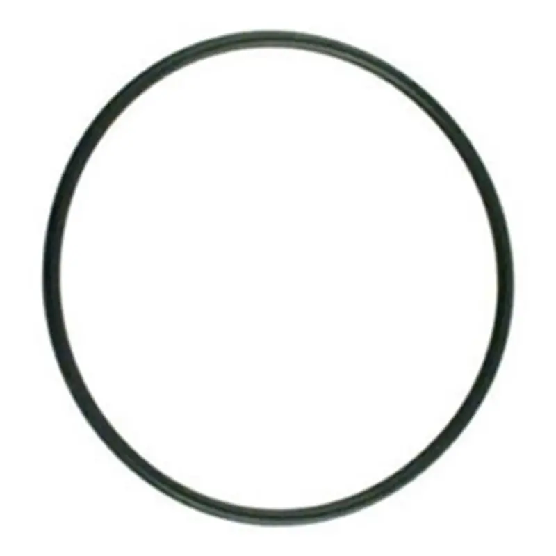 O-Ring Kit For 10-Inch And 20-Inch Watts Full Flow Filter Housings 1