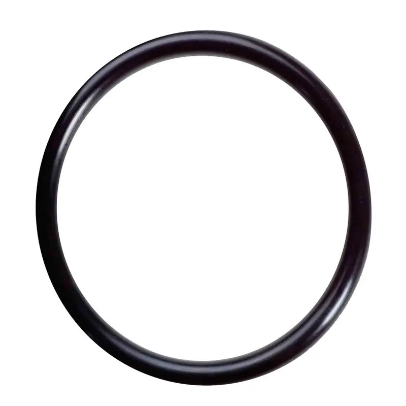 O-Ring Seal For Pura Uv20 And Uvb Series Sump (New-Style Design) 1