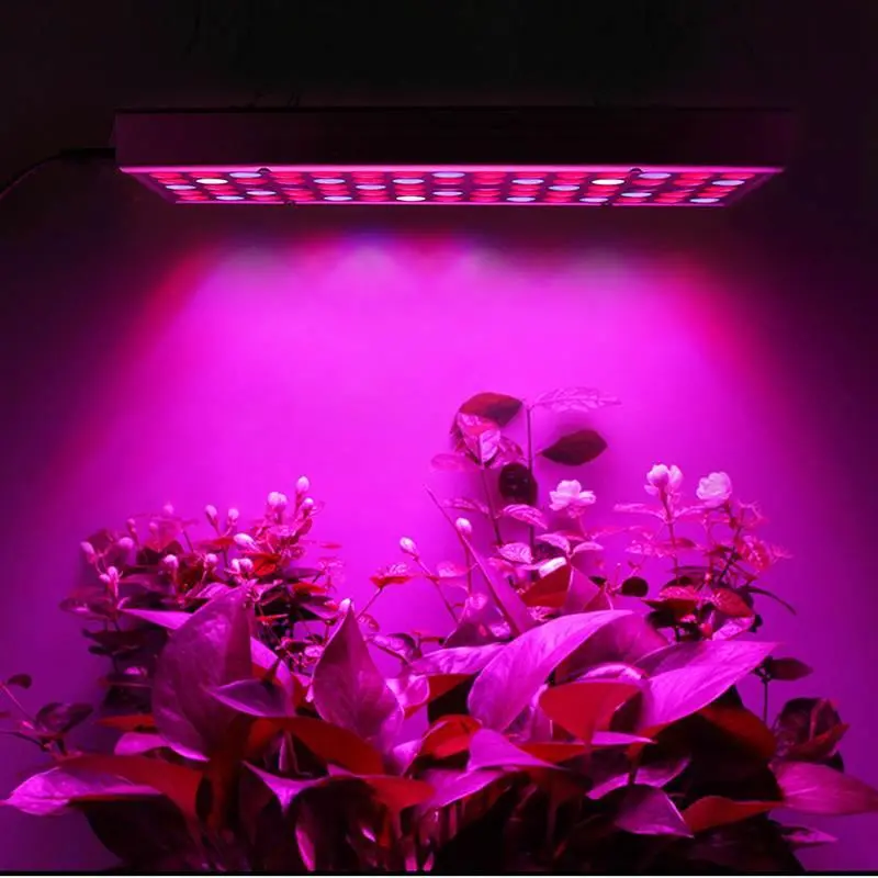 Panel-Style Led Grow Lamp For Indoor Herb And Vegetable Gardens 1