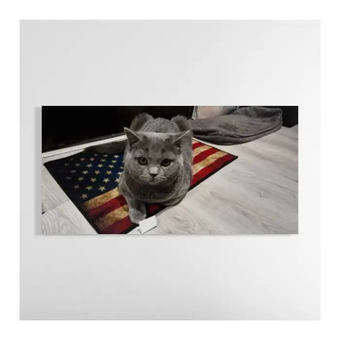 Panoramic Photo Print On Glass 1