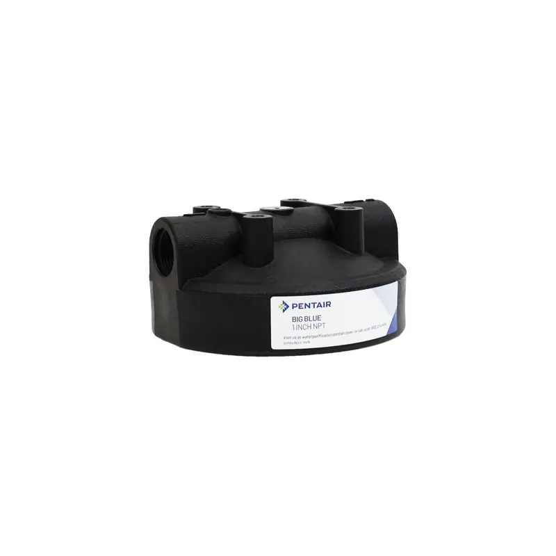 Pentek 154515 Black Bag Filter Cap – 1/4-Inch Vent, 1-Inch Female Pipe Thread 1