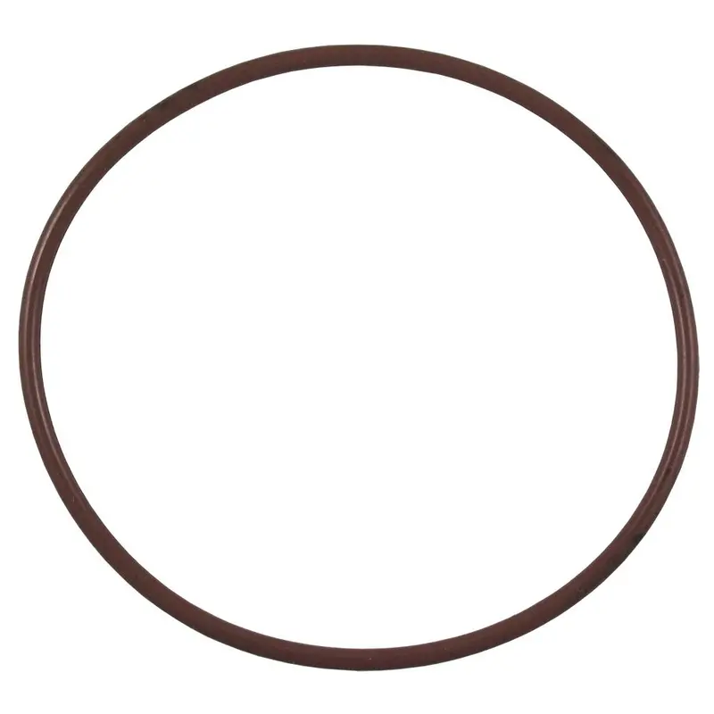 Pentek 158095 Viton O-Ring For Slimline Ro Housings (5", 10", 20") 1
