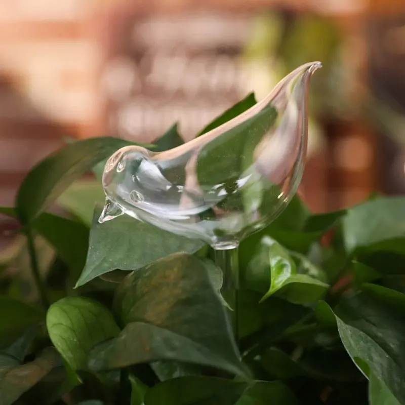 Plantcare® Glass Self-Watering Bulb For Indoor Plants 1