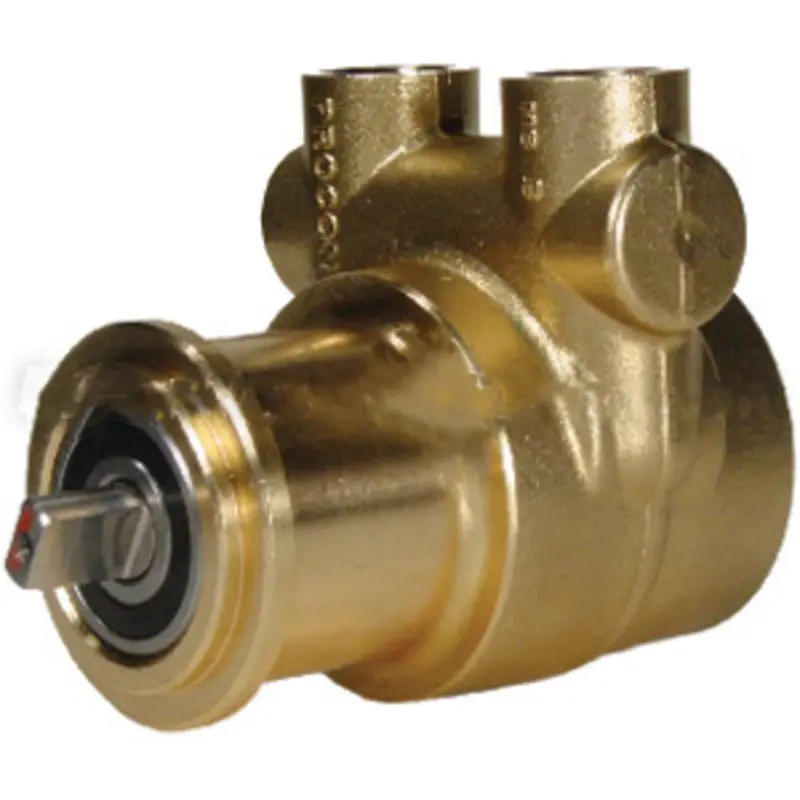 Procon Nsf-Certified Brass Positive Displacement Pump – 80 Gph, 250 Psi, 3/8" Npt Ports, .188" Double-Flat Drive 2