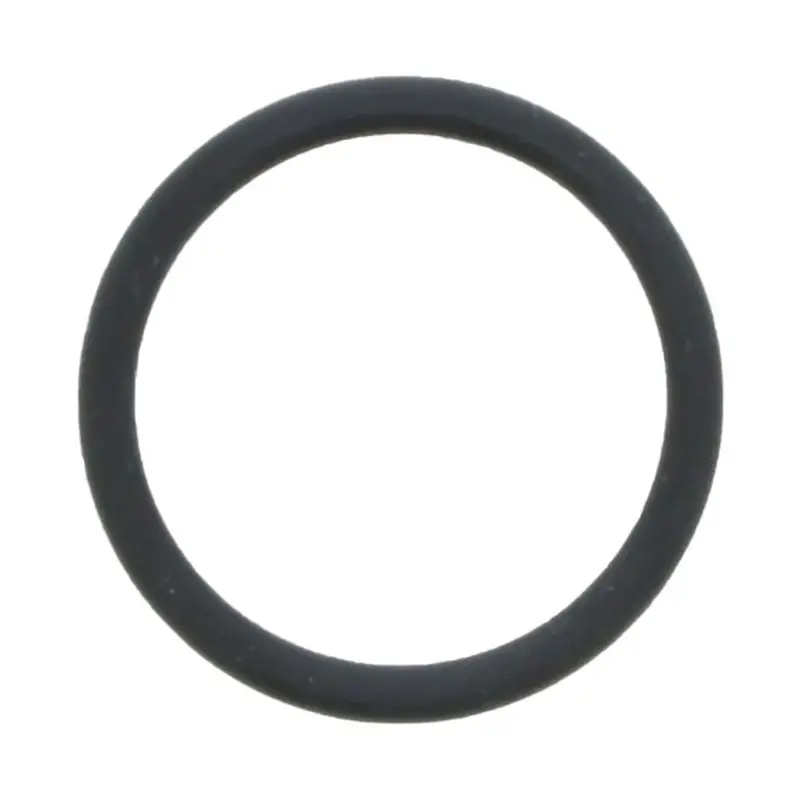 Replacement O-Ring For 4-Inch Stainless Steel Membrane Housing End Cap 1