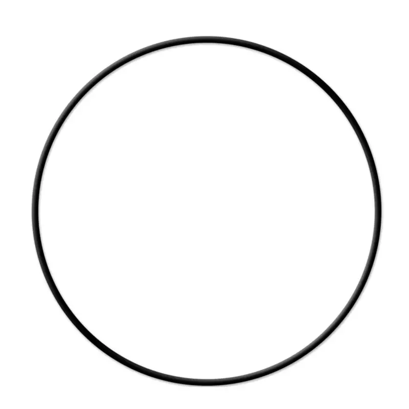 Replacement Viton O-Ring For Mrh Stainless Steel Filter Housings 1