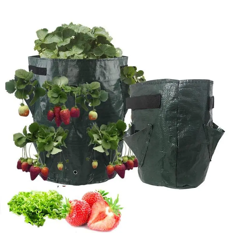 Single Strawberry Planting Grow Bag – Breathable Fabric Container 1