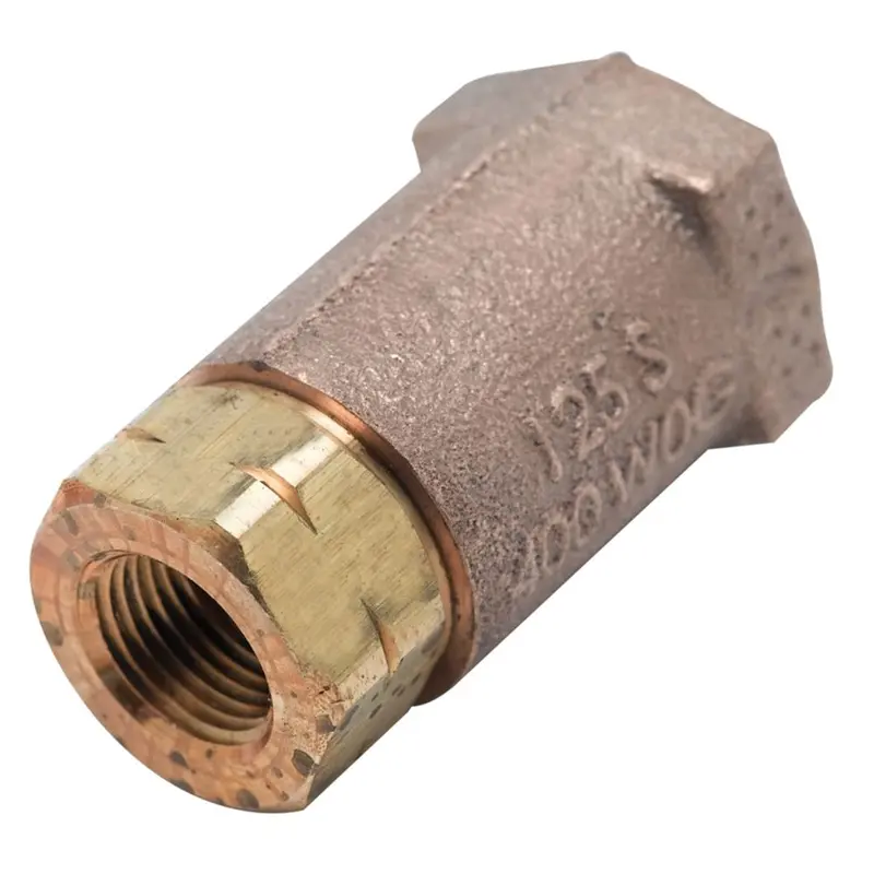 T&S Brass B-Cvh3-4 Horizontal/Vertical Check Valve, 3/4" Fnpt 1