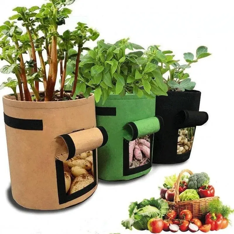 Vegetable Grow Bag – Heavy-Duty Fabric Planter For Root Crops 1