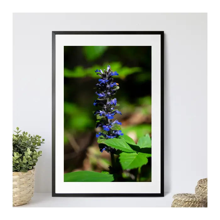 Vertical Photo Print In Frame 1
