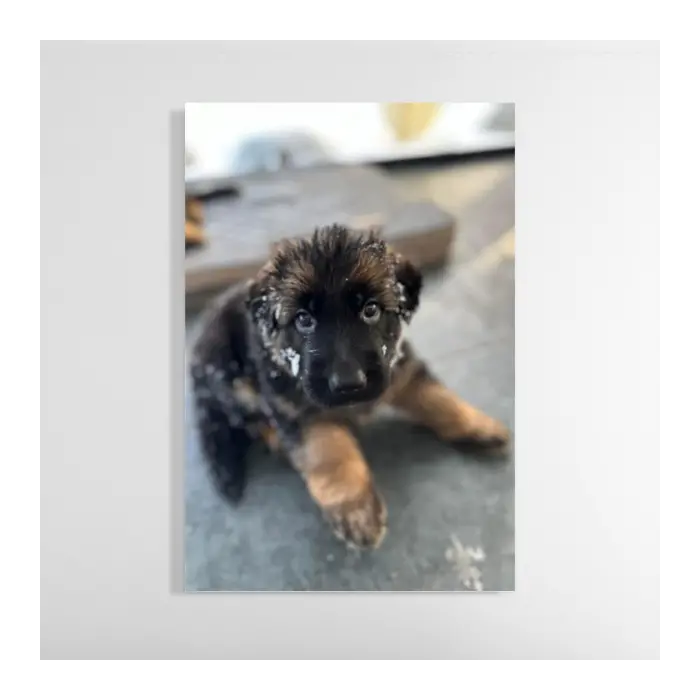 Vertical Tempered Glass Photo Print 1