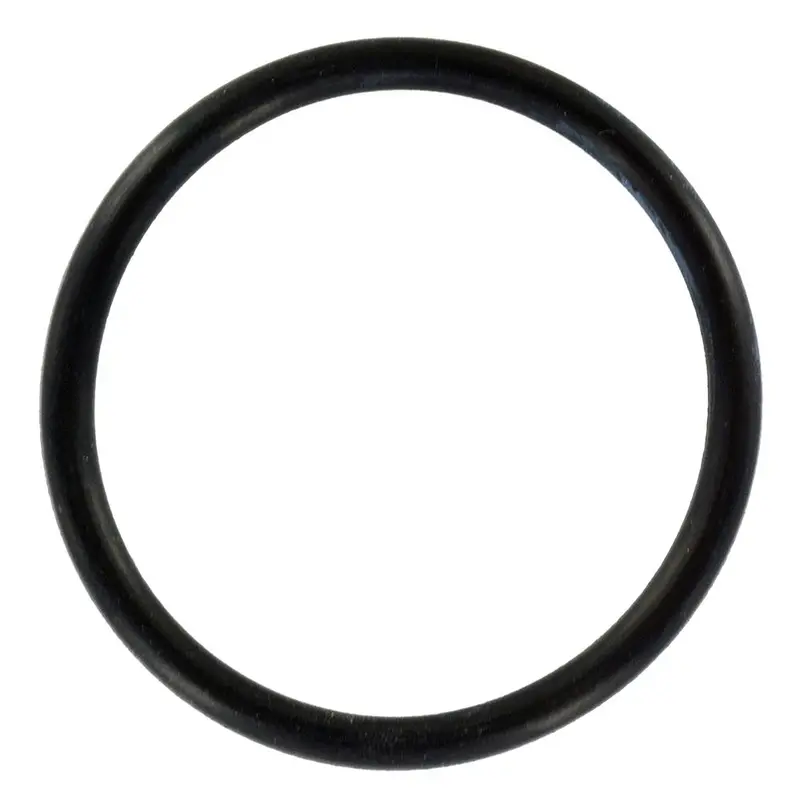 Watts Big Bubba Bbh-150 Filter Housing Coupler O-Ring 1