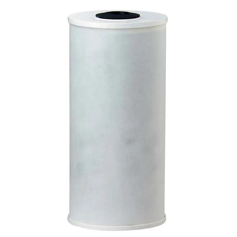 Watts Maxrfl-Ff975 Radial Flow Granular Activated Carbon Filter – 9.75 Inches, 20 Micron 1