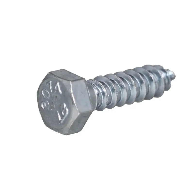 Zinc-Plated Hex Head Lag Bolt For Big Blue Filter Housings – 5/16" × 1-1/4" 1